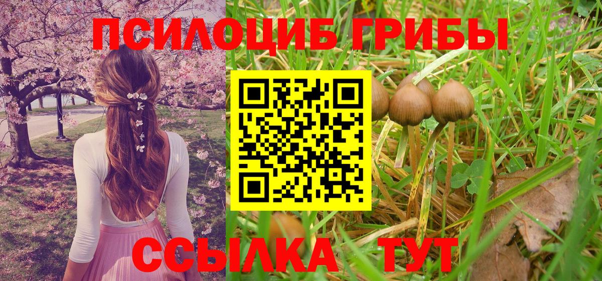 Галлюциногенные грибы GOLDEN TEACHER  Псилоцибиновые грибы Psilocybe  Зима  Вход с VPN 