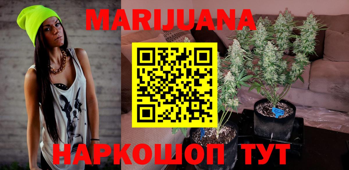Бошки Шишки тримм  Шишки марихуана конопля  Зима  Вход с VPN 